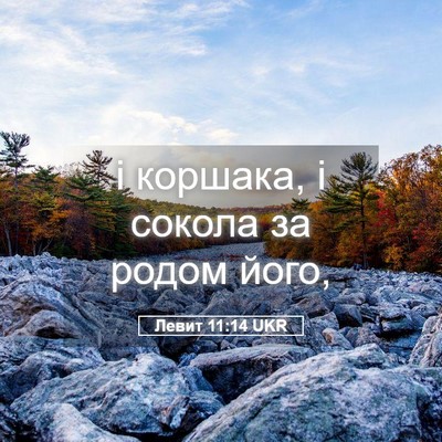 Picture 05 - Левит 11:14 UKR - і коршака, і сокола за - Bible Verse Picture