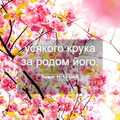 Picture 05 - Левит 11:15 UKR - усякого крука за родом - Bible Verse Picture