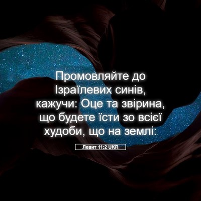 Picture 05 - Левит 11:2 UKR - Промовляйте до Ізраїлевих - Bible Verse Picture