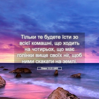 Picture 05 - Левит 11:21 UKR - Тільки те будете їсти зо - Bible Verse Picture
