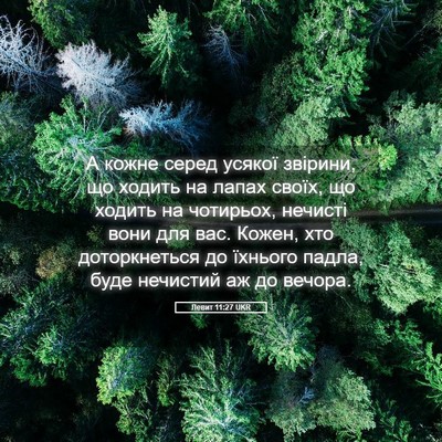 Picture 05 - Левит 11:27 UKR - А кожне серед усякої - Bible Verse Picture