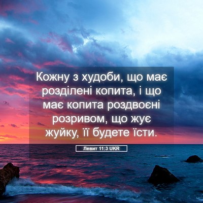 Picture 05 - Левит 11:3 UKR - Кожну з худоби, що має - Bible Verse Picture