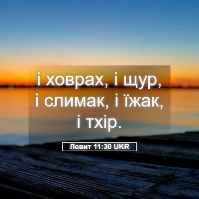 Picture 05 - Левит 11:30 UKR - і ховрах, і щур, і слимак, і - Bible Verse Picture