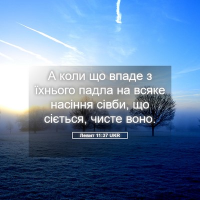 Picture 05 - Левит 11:37 UKR - А коли що впаде з їхнього - Bible Verse Picture