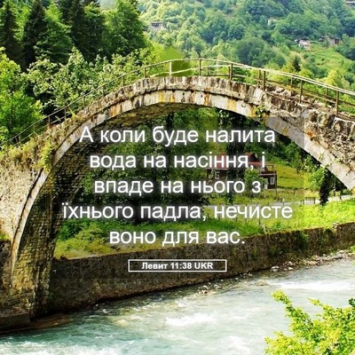 Picture 05 - Левит 11:38 UKR - А коли буде налита вода на - Bible Verse Picture