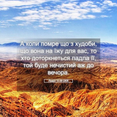 Picture 05 - Левит 11:39 UKR - А коли помре що з худоби, що - Bible Verse Picture