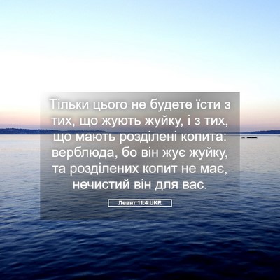 Picture 05 - Левит 11:4 UKR - Тільки цього не будете - Bible Verse Picture