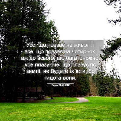 Picture 05 - Левит 11:42 UKR - Усе, що повзає на животі, і - Bible Verse Picture