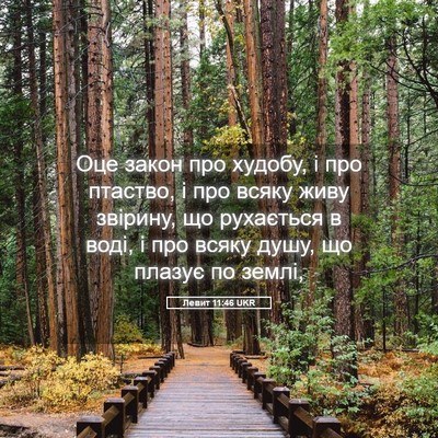 Picture 05 - Левит 11:46 UKR - Оце закон про худобу, і про - Bible Verse Picture