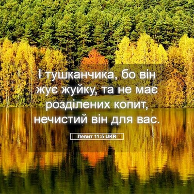 Picture 05 - Левит 11:5 UKR - І тушканчика, бо він жує - Bible Verse Picture