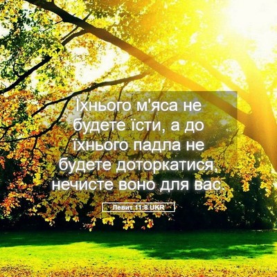 Picture 05 - Левит 11:8 UKR - Їхнього м'яса не будете - Bible Verse Picture