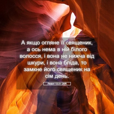 Picture 05 - Левит 13:21 UKR - А якщо огляне її священик, - Bible Verse Picture