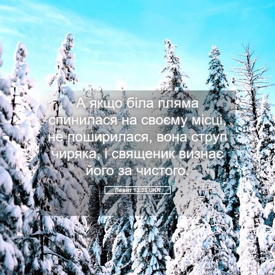 Picture 05 - Левит 13:23 UKR - А якщо біла пляма - Bible Verse Picture