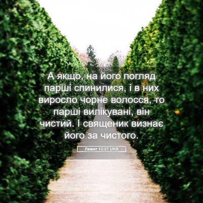 Picture 05 - Левит 13:37 UKR - А якщо, на його погляд - Bible Verse Picture