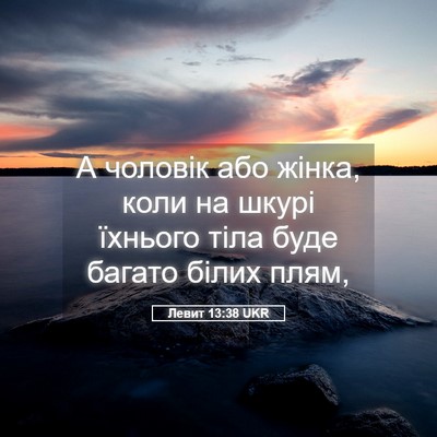 Picture 05 - Левит 13:38 UKR - А чоловік або жінка, коли - Bible Verse Picture