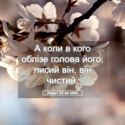 Picture 05 - Левит 13:40 UKR - А коли в кого облізе голова - Bible Verse Picture