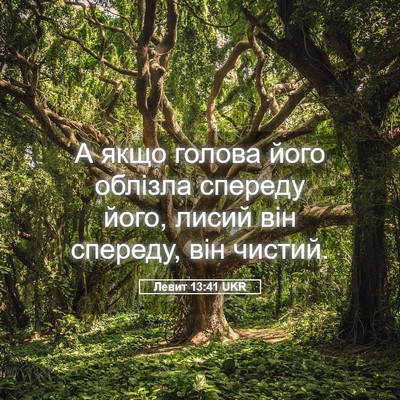 Picture 05 - Левит 13:41 UKR - А якщо голова його облізла - Bible Verse Picture
