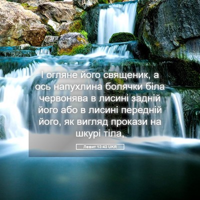 Picture 05 - Левит 13:43 UKR - І огляне його священик, а - Bible Verse Picture