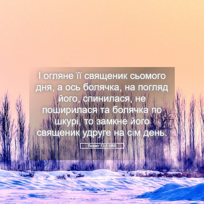 Picture 05 - Левит 13:5 UKR - І огляне її священик - Bible Verse Picture