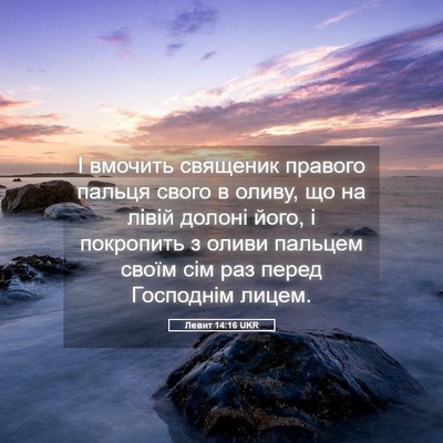 Picture 05 - Левит 14:16 UKR - І вмочить священик правого - Bible Verse Picture