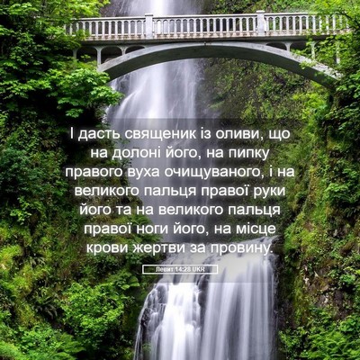 Picture 05 - Левит 14:28 UKR - І дасть священик із оливи, - Bible Verse Picture