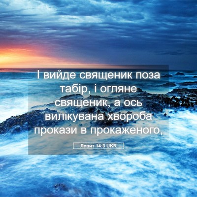 Picture 05 - Левит 14:3 UKR - І вийде священик поза - Bible Verse Picture