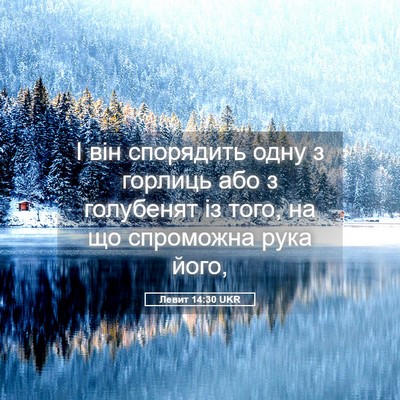 Picture 05 - Левит 14:30 UKR - І він спорядить одну з - Bible Verse Picture
