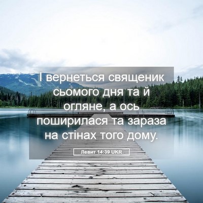 Picture 05 - Левит 14:39 UKR - І вернеться священик - Bible Verse Picture