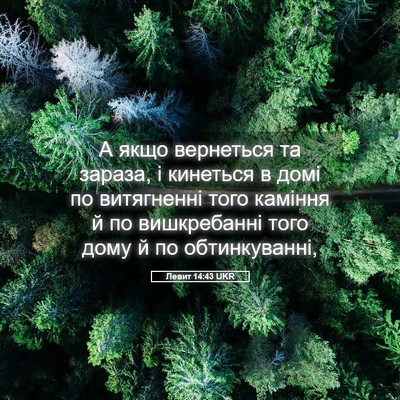Picture 05 - Левит 14:43 UKR - А якщо вернеться та зараза, - Bible Verse Picture