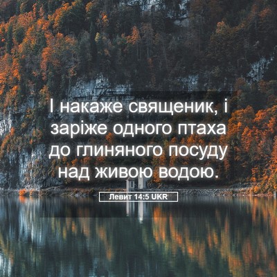 Picture 05 - Левит 14:5 UKR - І накаже священик, і заріже - Bible Verse Picture