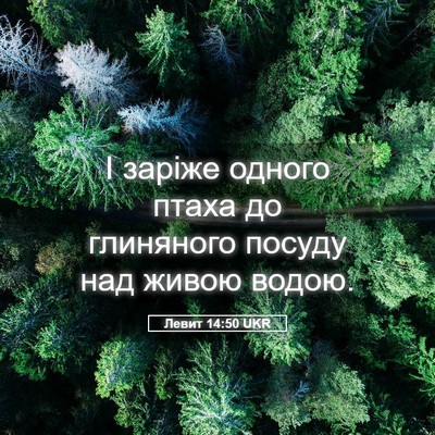 Picture 05 - Левит 14:50 UKR - І заріже одного птаха до - Bible Verse Picture