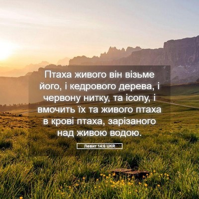 Picture 05 - Левит 14:6 UKR - Птаха живого він візьме - Bible Verse Picture
