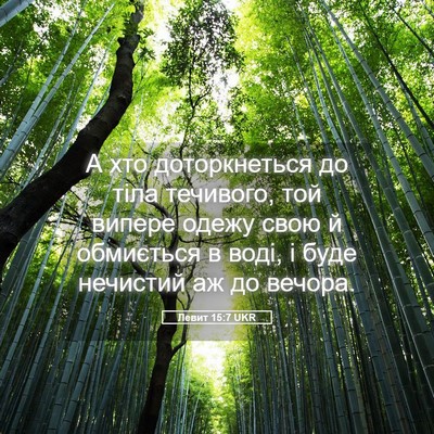 Picture 05 - Левит 15:7 UKR - А хто доторкнеться до тіла - Bible Verse Picture