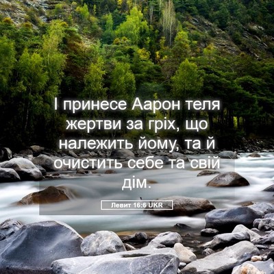 Picture 05 - Левит 16:6 UKR - І принесе Аарон теля - Bible Verse Picture