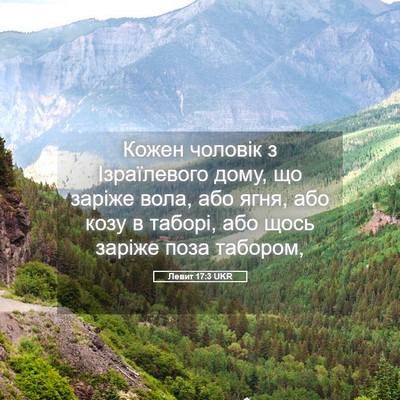 Picture 05 - Левит 17:3 UKR - Кожен чоловік з - Bible Verse Picture