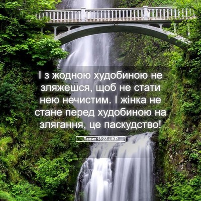 Picture 05 - Левит 18:23 UKR - І з жодною худобиною не - Bible Verse Picture