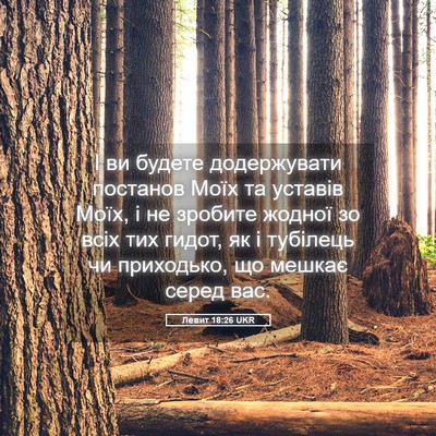 Picture 05 - Левит 18:26 UKR - І ви будете додержувати - Bible Verse Picture