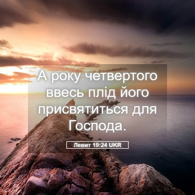 Picture 05 - Левит 19:24 UKR - А року четвертого ввесь - Bible Verse Picture