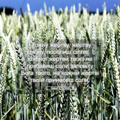 Picture 05 - Левит 2:13 UKR - І кожну жертву, жертву - Bible Verse Picture