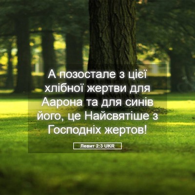 Picture 05 - Левит 2:3 UKR - А позостале з цієї хлібної - Bible Verse Picture