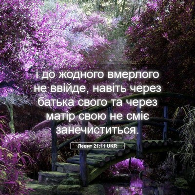 Picture 05 - Левит 21:11 UKR - і до жодного вмерлого не - Bible Verse Picture