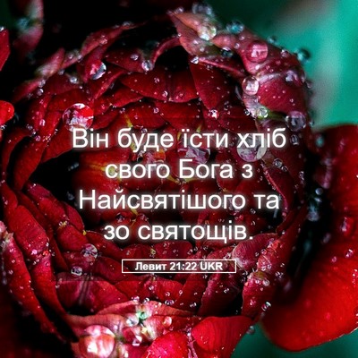 Picture 05 - Левит 21:22 UKR - Він буде їсти хліб свого - Bible Verse Picture