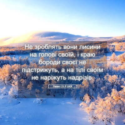 Picture 05 - Левит 21:5 UKR - Не зроблять вони лисини на - Bible Verse Picture
