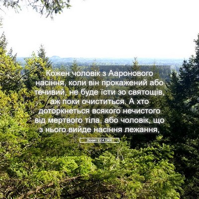 Picture 05 - Левит 22:4 UKR - Кожен чоловік з Ааронового - Bible Verse Picture