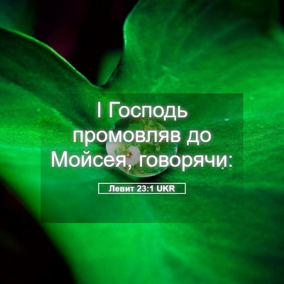 Picture 05 - Левит 23:1 UKR - І Господь промовляв до - Bible Verse Picture