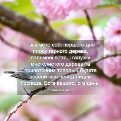Picture 05 - Левит 23:40 UKR - І візьмете собі першого - Bible Verse Picture