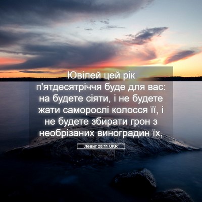 Picture 05 - Левит 25:11 UKR - Ювілей цей рік - Bible Verse Picture