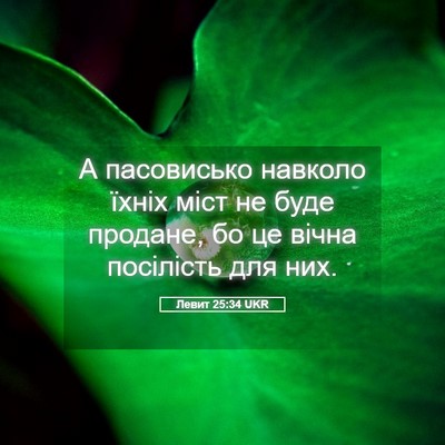 Picture 05 - Левит 25:34 UKR - А пасовисько навколо їхніх - Bible Verse Picture