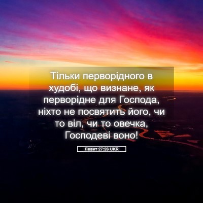 Picture 05 - Левит 27:26 UKR - Тільки перворідного в - Bible Verse Picture