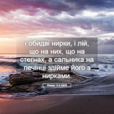 Picture 05 - Левит 3:4 UKR - і обидві нирки, і лій, що на - Bible Verse Picture